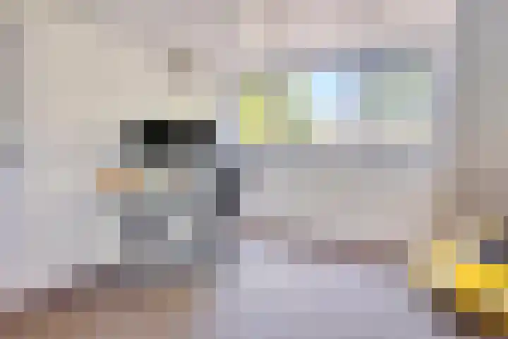 Pieter Breughelstraat 22 Oisterwijk thumbnail 31