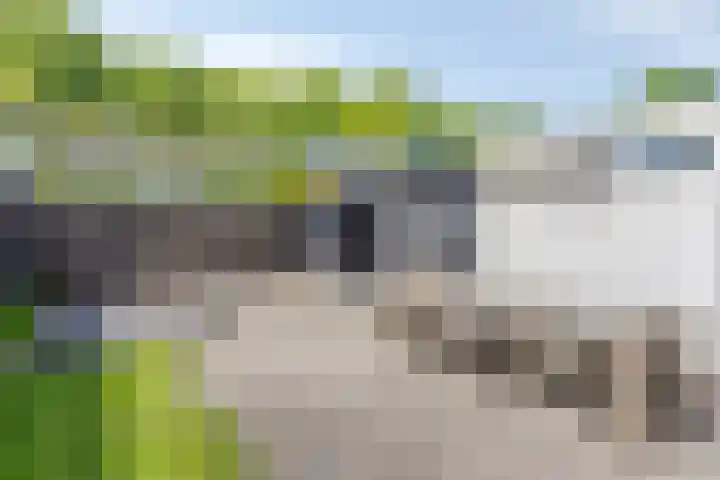 Pieter Breughelstraat 22 Oisterwijk thumbnail 36