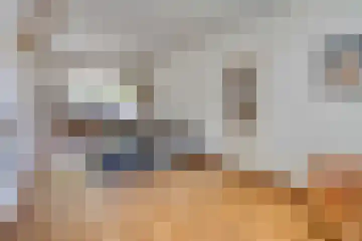 Pieter Breughelstraat 22 Oisterwijk thumbnail 4