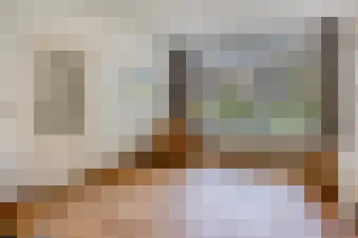 Pieter Breughelstraat 22 Oisterwijk thumbnail 9