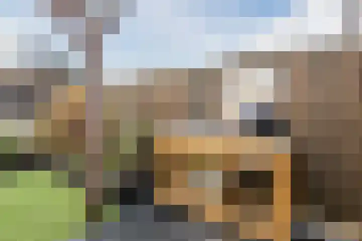 Pieter Breughelstraat 26 Bergen op Zoom thumbnail 62