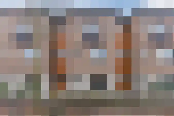 Pieter Breughelstraat 26 Bergen op Zoom thumbnail 8