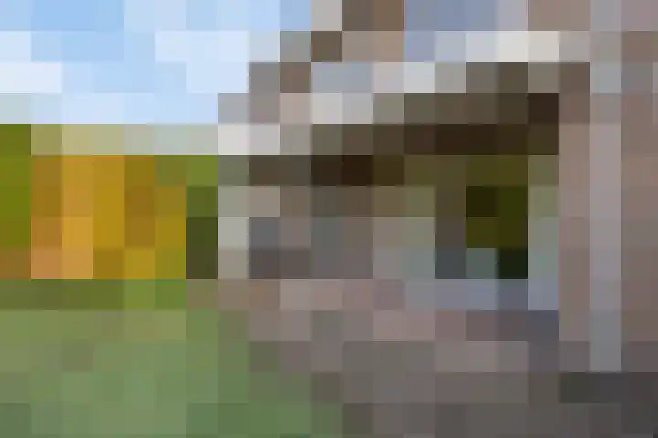 Pieter Breughelstraat 34 Oisterwijk thumbnail 31