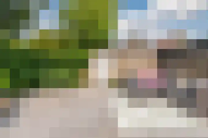 Pieter Breughelstraat 46 Rijnsburg thumbnail 4