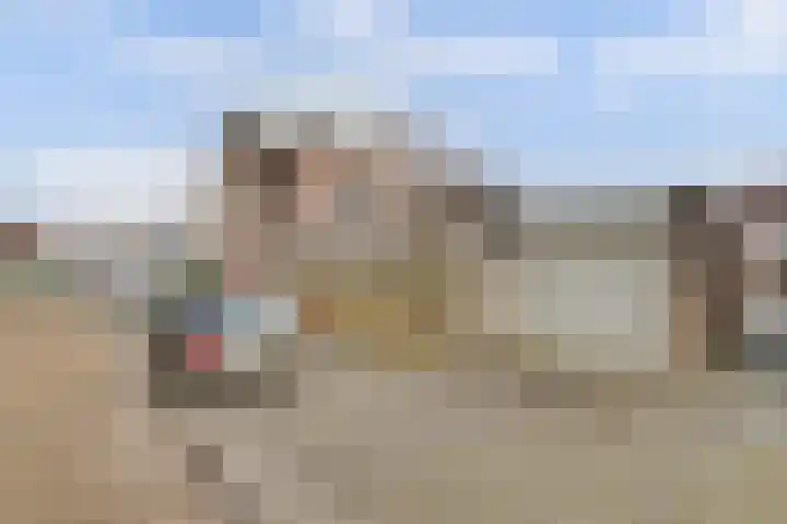Pieter Breughelstraat 5 Rijnsburg thumbnail 8