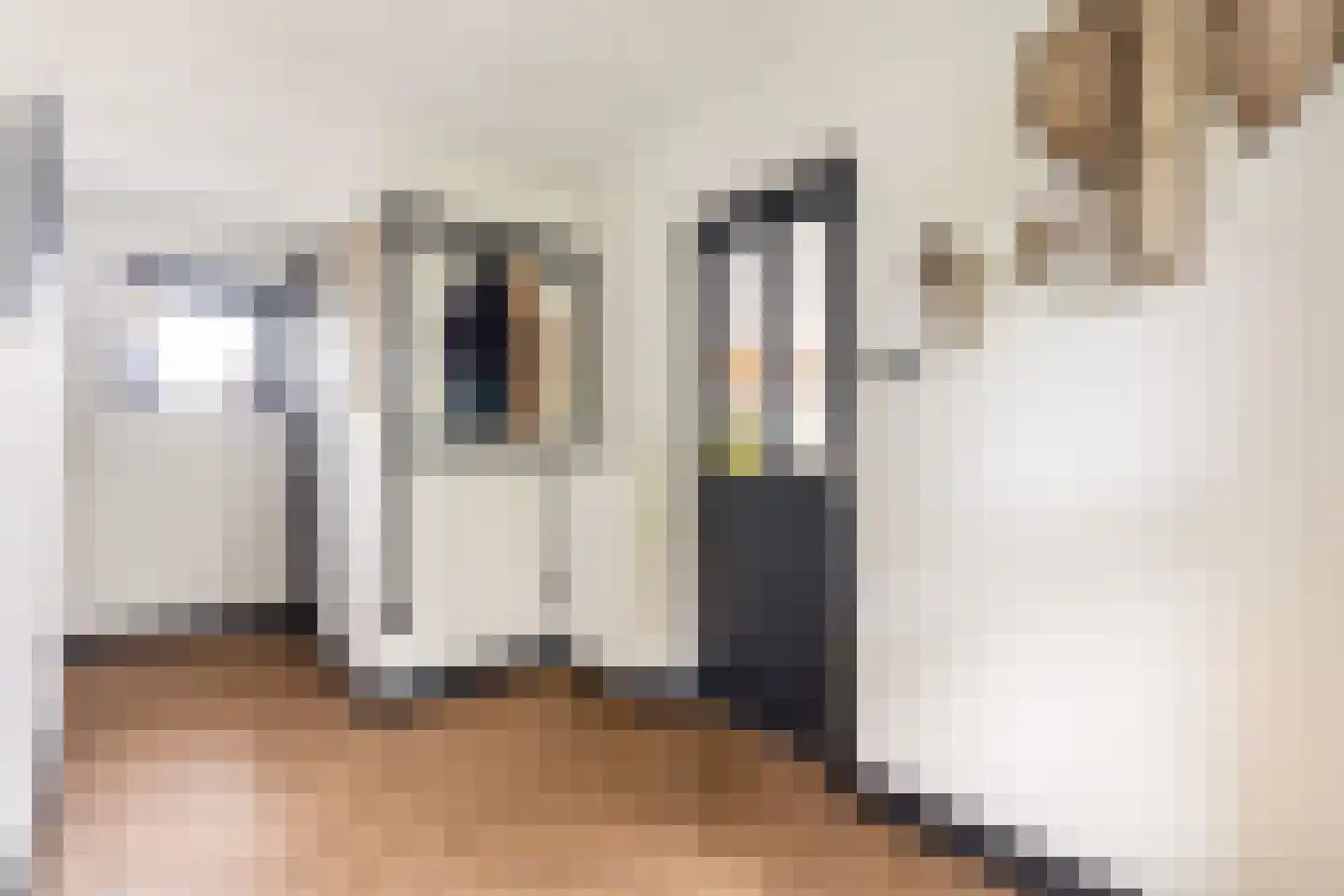 Pieter Breughelstraat 6 Woerden thumbnail 11