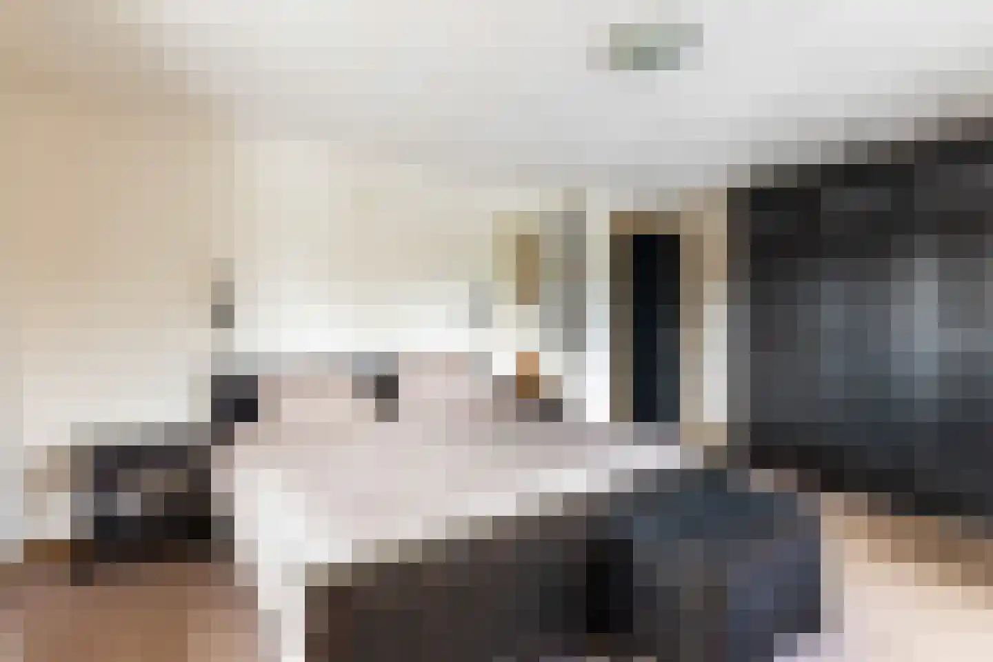 Pieter Breughelstraat 6 Woerden thumbnail 17