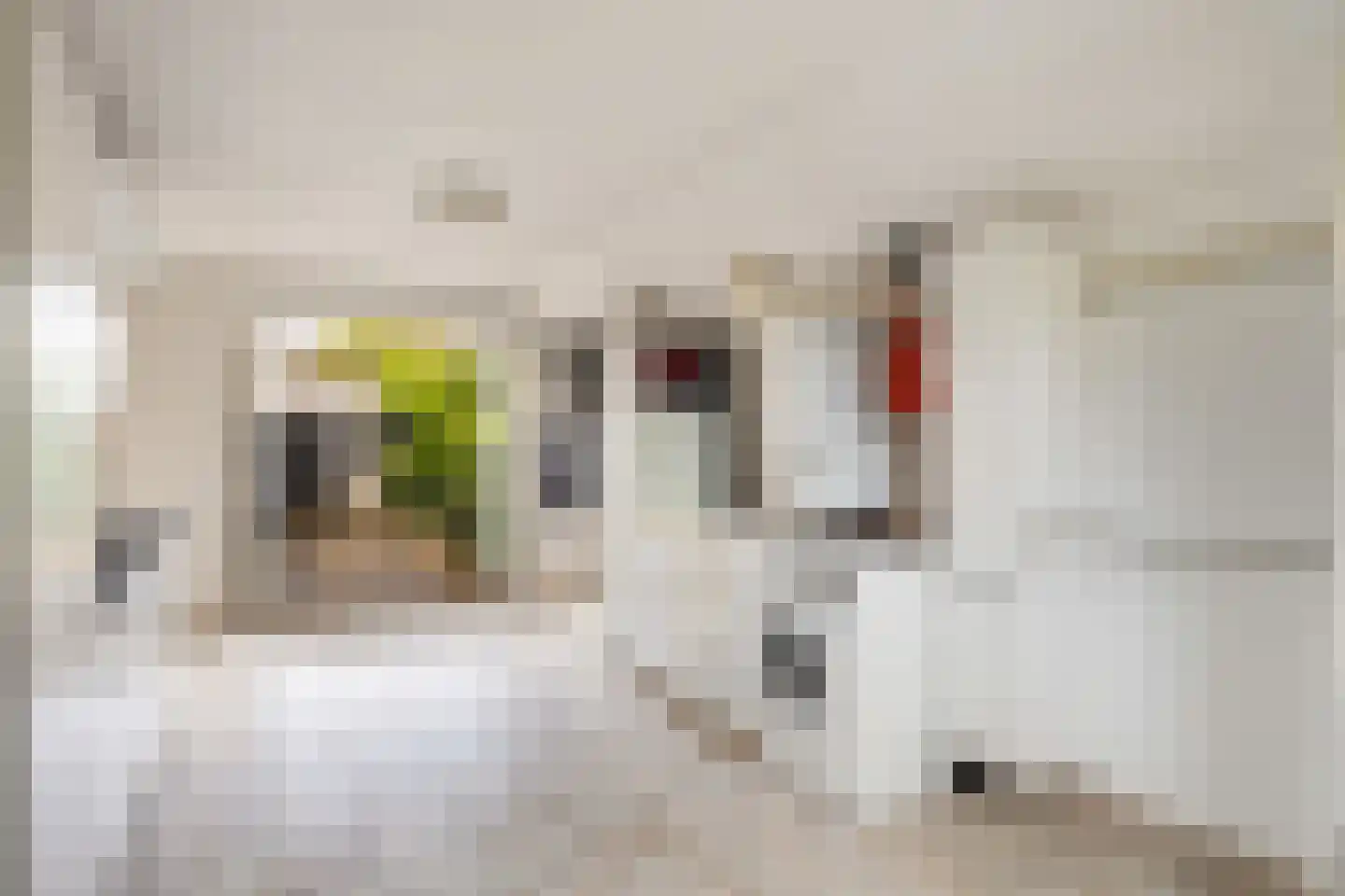 Pieter Breughelstraat 6 Woerden thumbnail 30