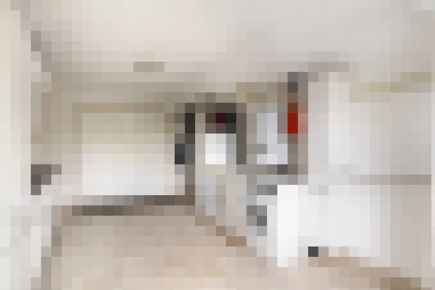 Pieter Breughelstraat 6 Woerden thumbnail 31
