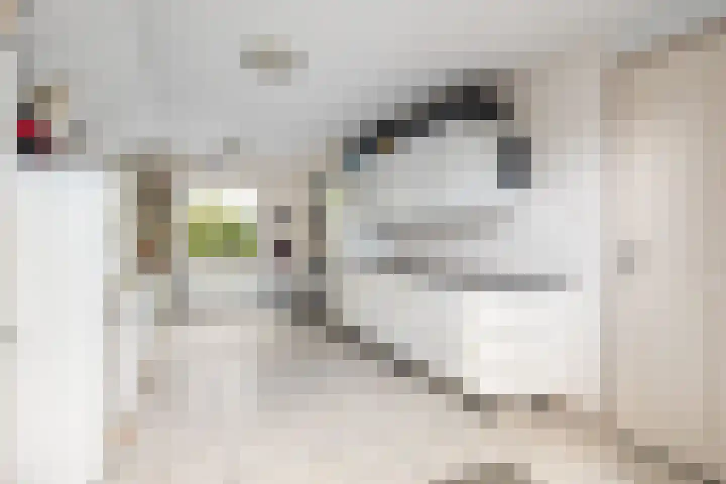 Pieter Breughelstraat 6 Woerden thumbnail 32