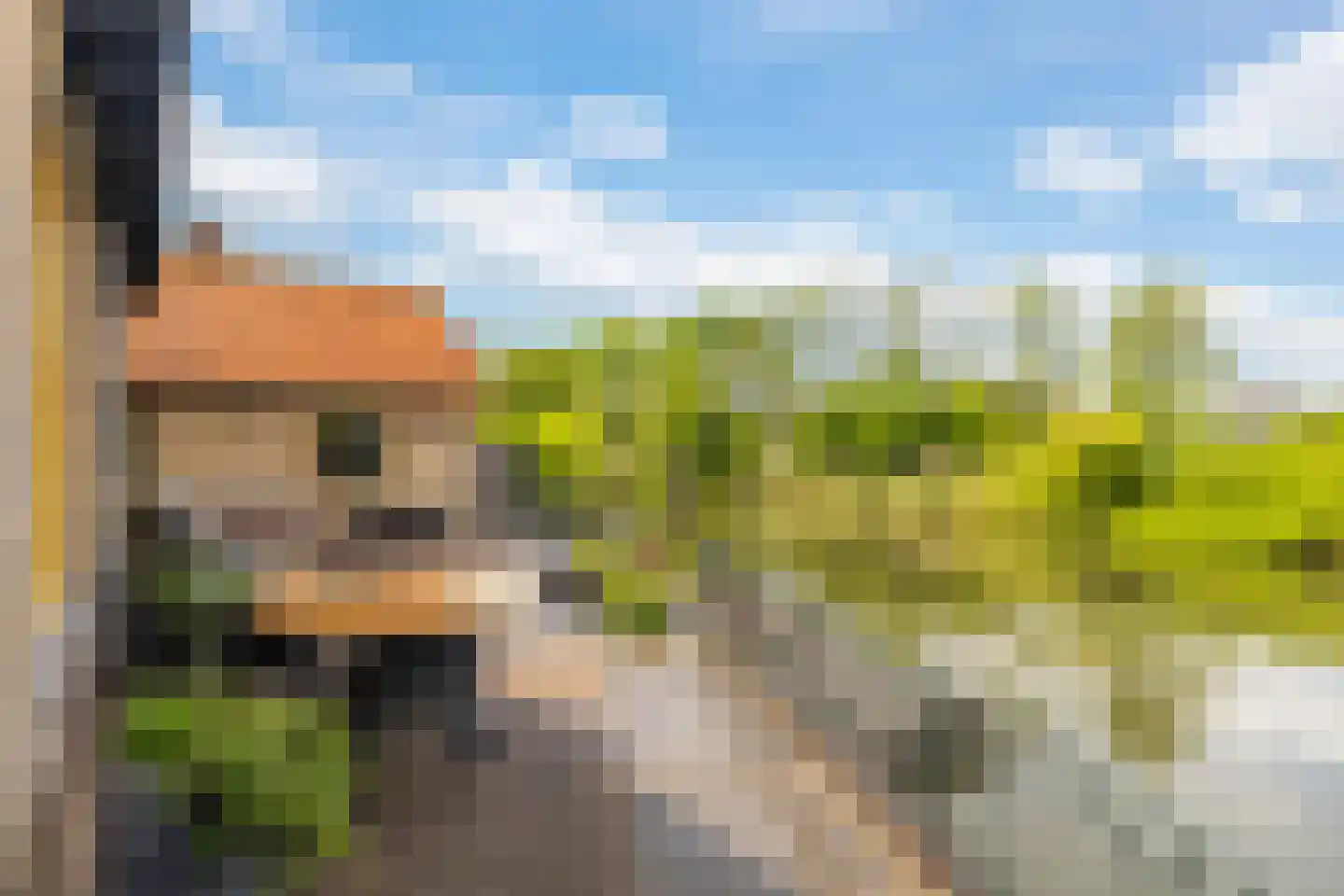 Pieter Breughelstraat 6 Woerden thumbnail 36