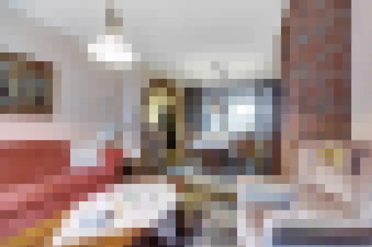 Pieter Breughelstraat 60 Bergen L thumbnail 10