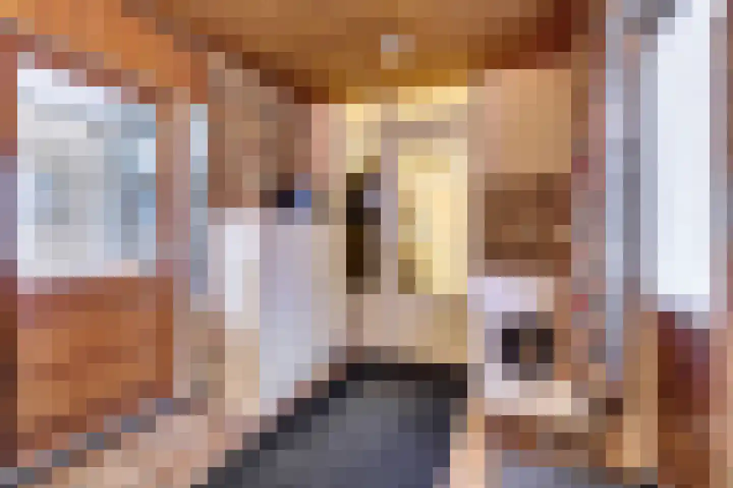Pieter Breughelstraat 60 Bergen L thumbnail 13