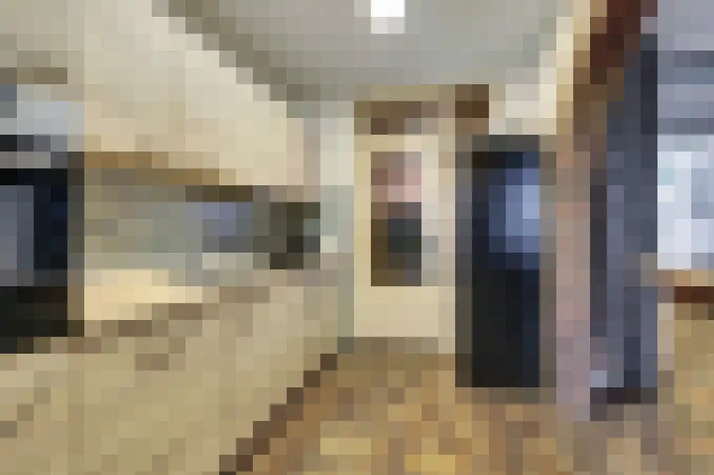 Pieter Breughelstraat 60 Bergen L thumbnail 7
