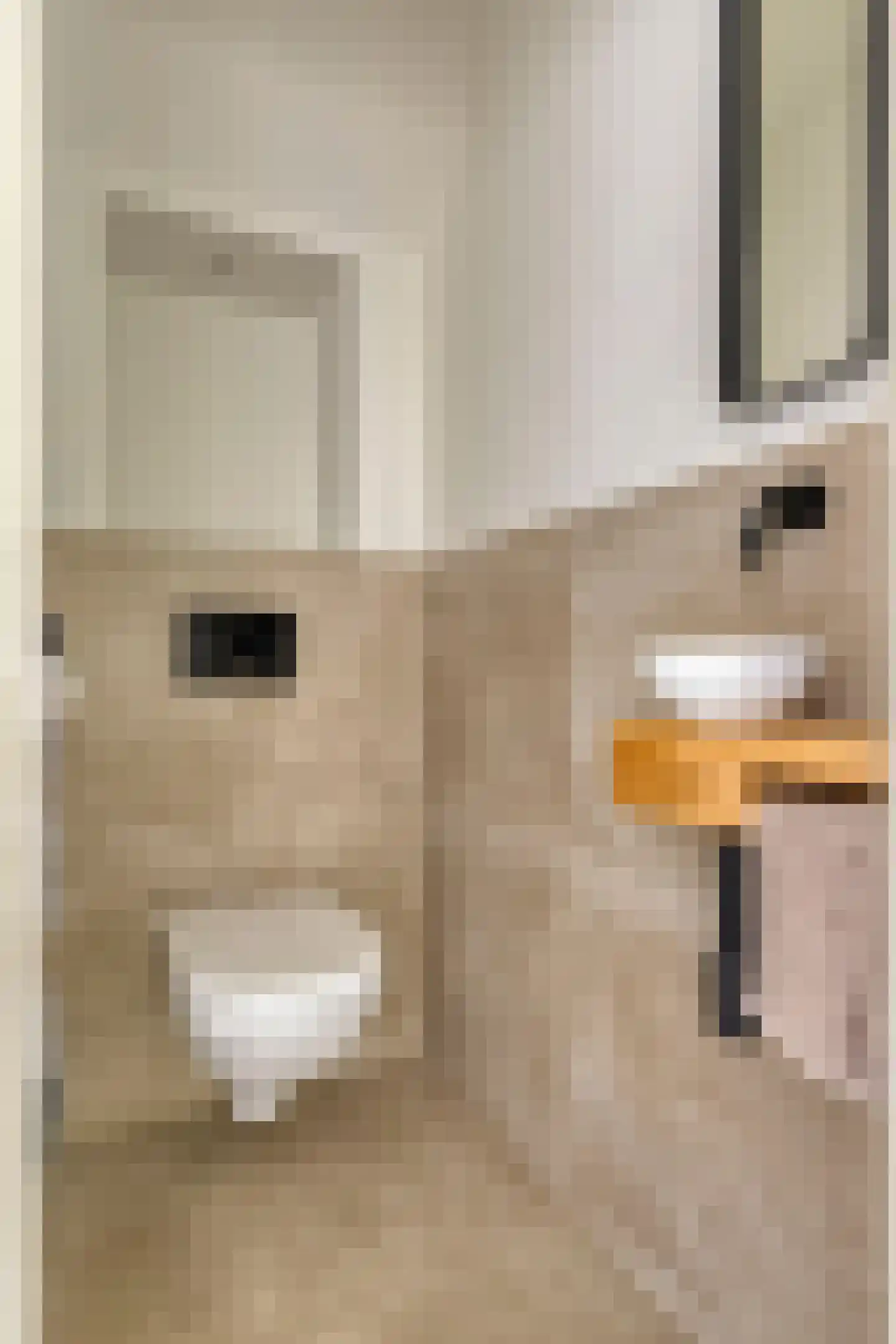 Pieter Brinkmanstraat 1 Tilburg thumbnail 13