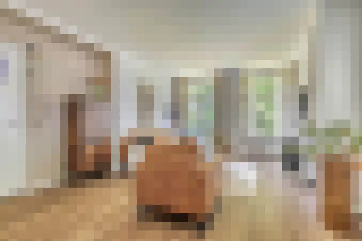 Pieter Brinkmanstraat 1 Tilburg thumbnail 14
