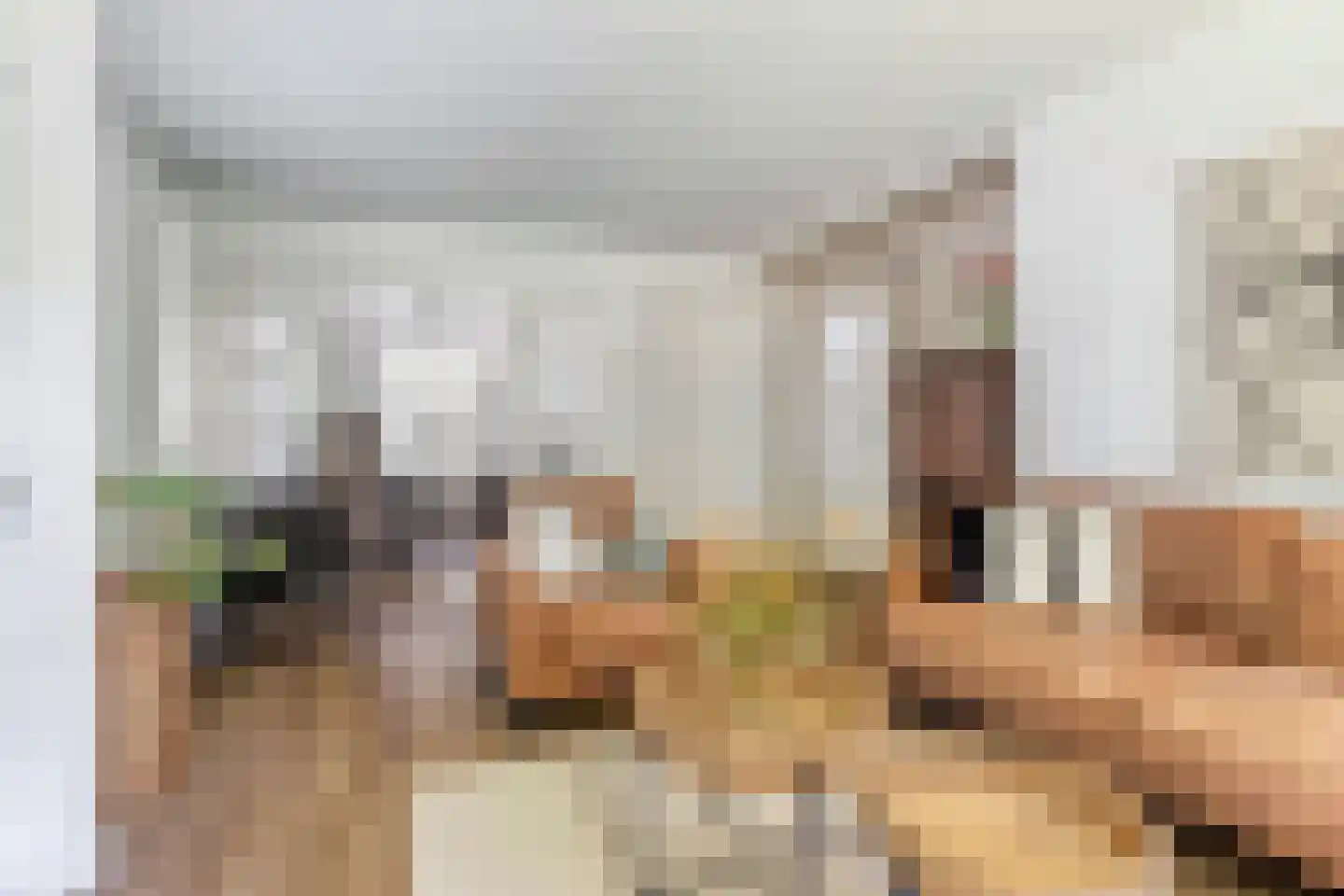 Pieter Brinkmanstraat 1 Tilburg thumbnail 18