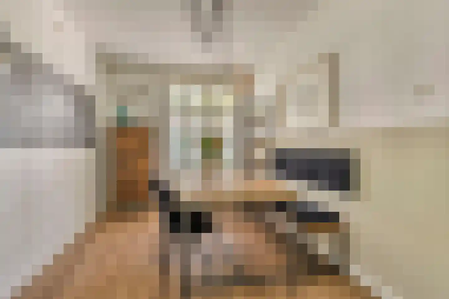 Pieter Brinkmanstraat 1 Tilburg thumbnail 21