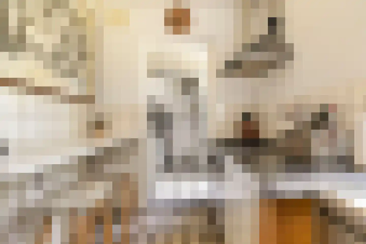 Pieter Brinkmanstraat 1 Tilburg thumbnail 24