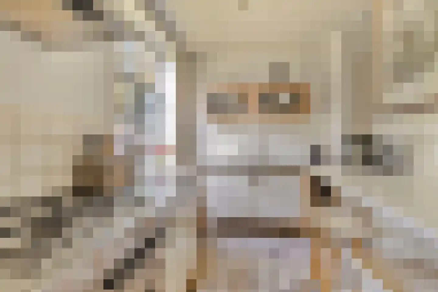 Pieter Brinkmanstraat 1 Tilburg thumbnail 26