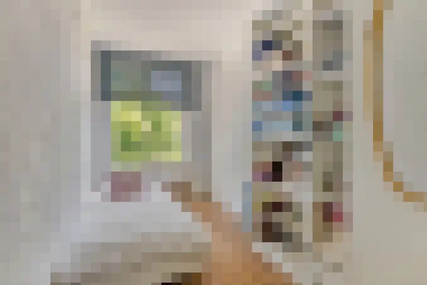 Pieter Brinkmanstraat 1 Tilburg thumbnail 31