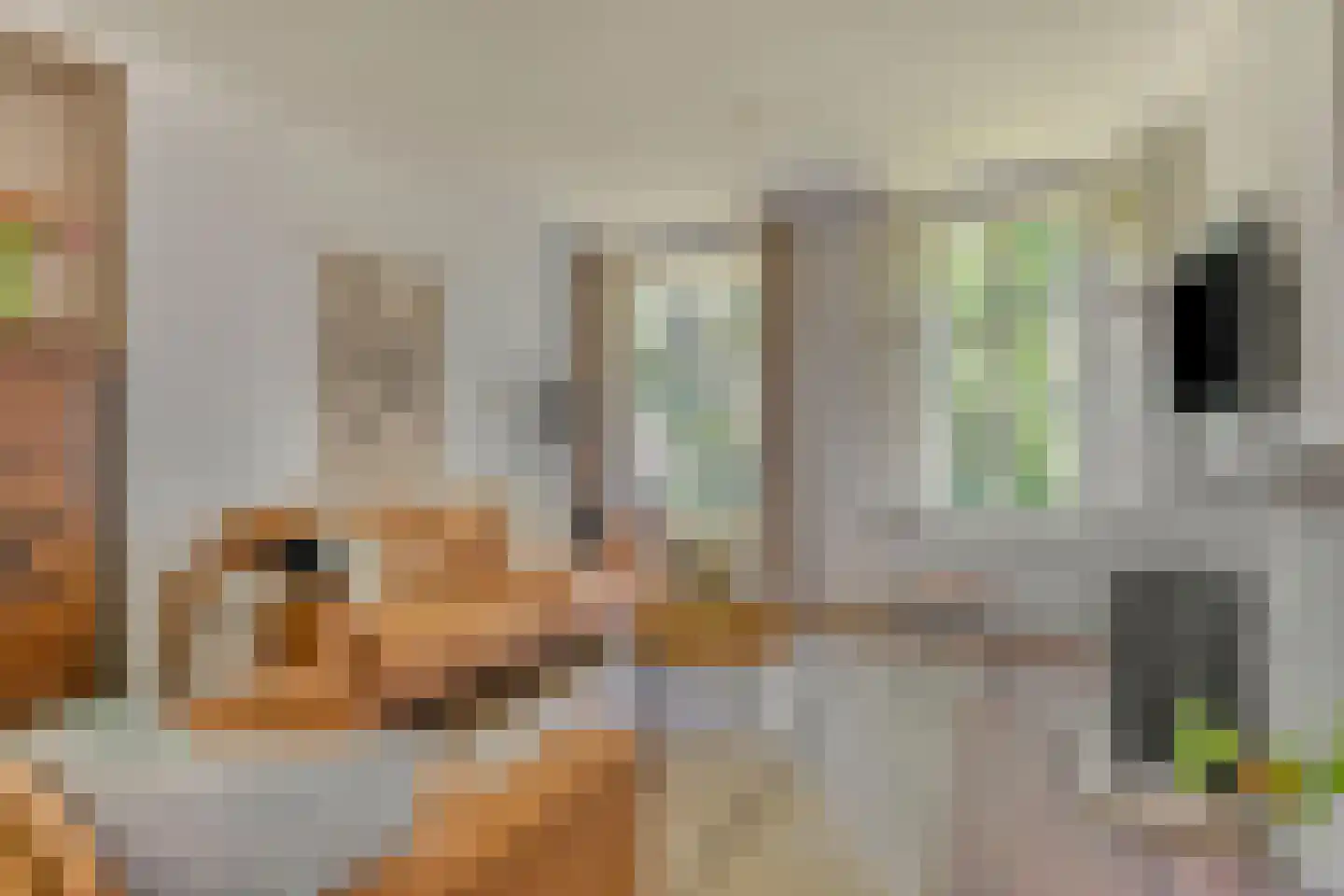 Pieter Brinkmanstraat 1 Tilburg thumbnail 4