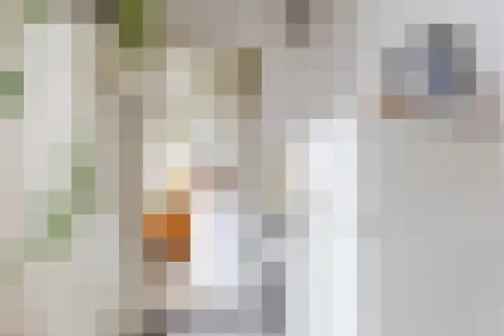 Pieter Brinkmanstraat 13 Tilburg thumbnail 19