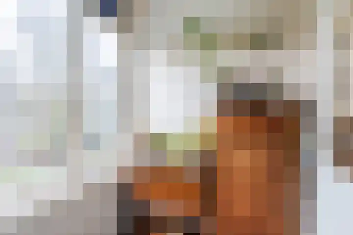 Pieter Brinkmanstraat 13 Tilburg thumbnail 20
