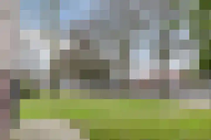 Pieter Brinkmanstraat 13 Tilburg thumbnail 33