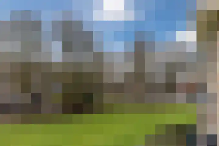 Pieter Brinkmanstraat 13 Tilburg thumbnail 7