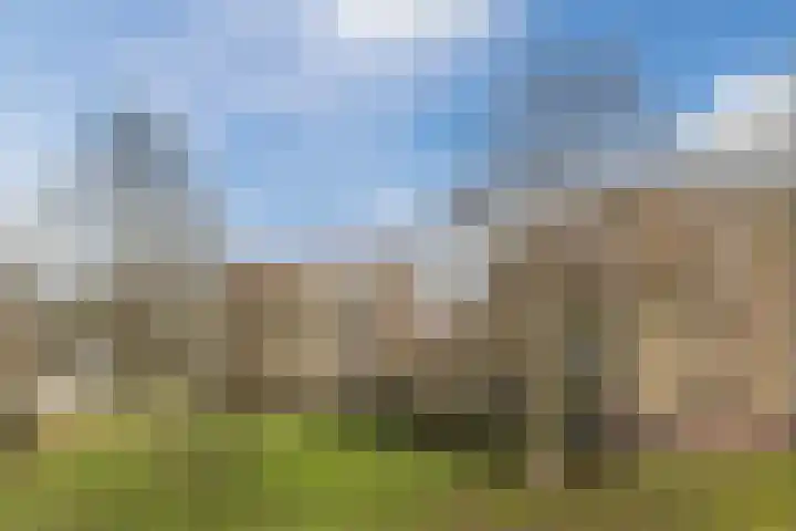 Pieter Brinkmanstraat 13 Tilburg thumbnail 8