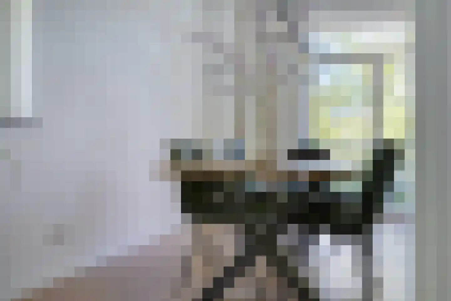 Pieter Brinkmanstraat 3 Tilburg thumbnail 12
