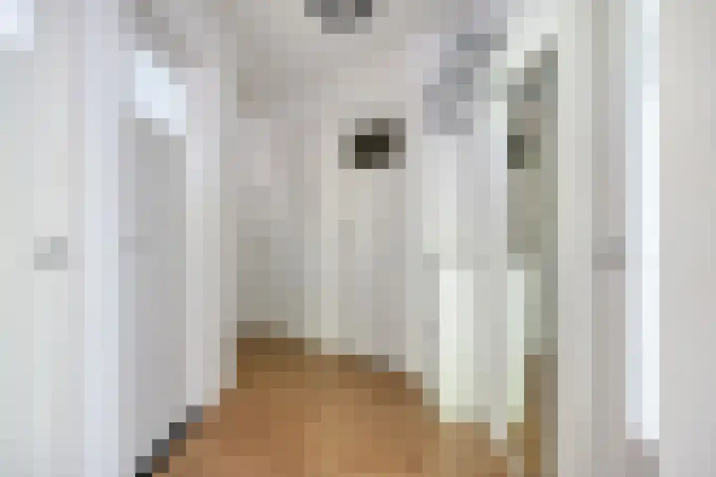Pieter Brinkmanstraat 3 Tilburg thumbnail 27