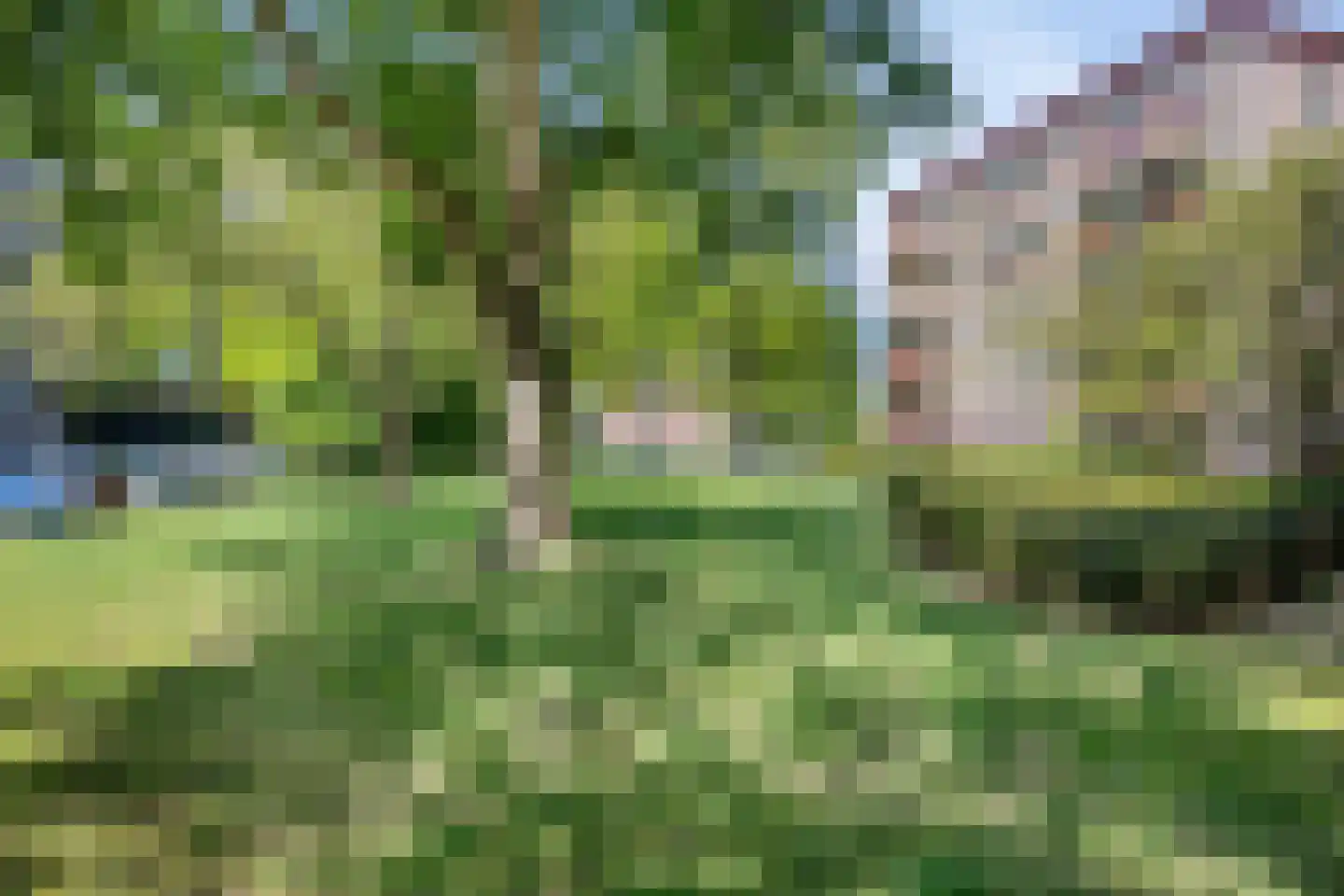 Pieter Brinkmanstraat 3 Tilburg thumbnail 28