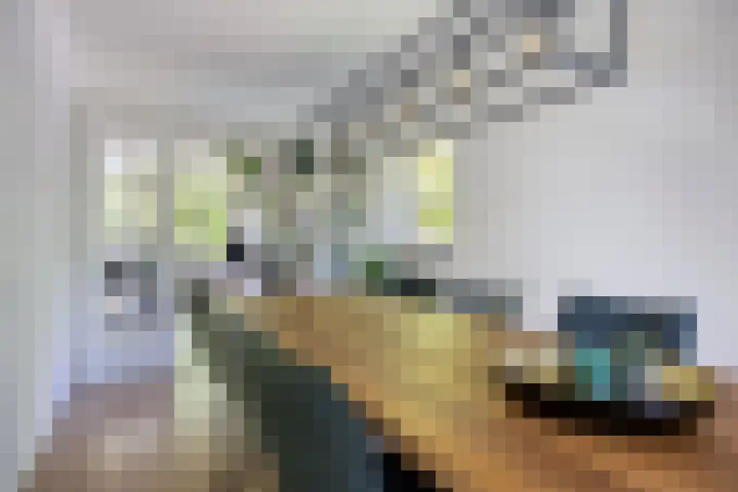 Pieter Brinkmanstraat 3 Tilburg thumbnail 7