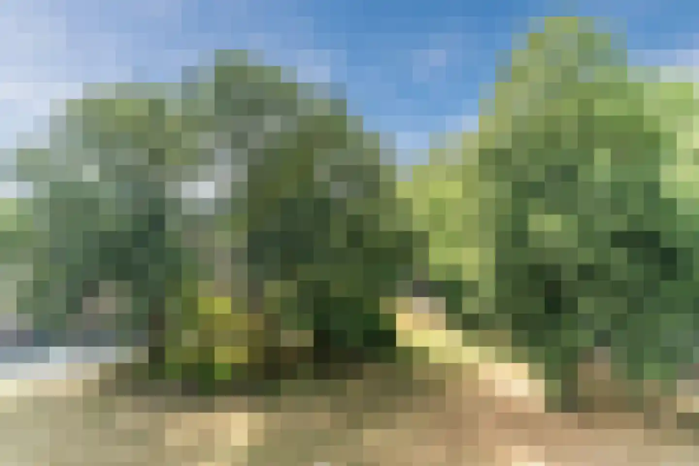 Pieter Brinkmanstraat 6 Tilburg thumbnail 11