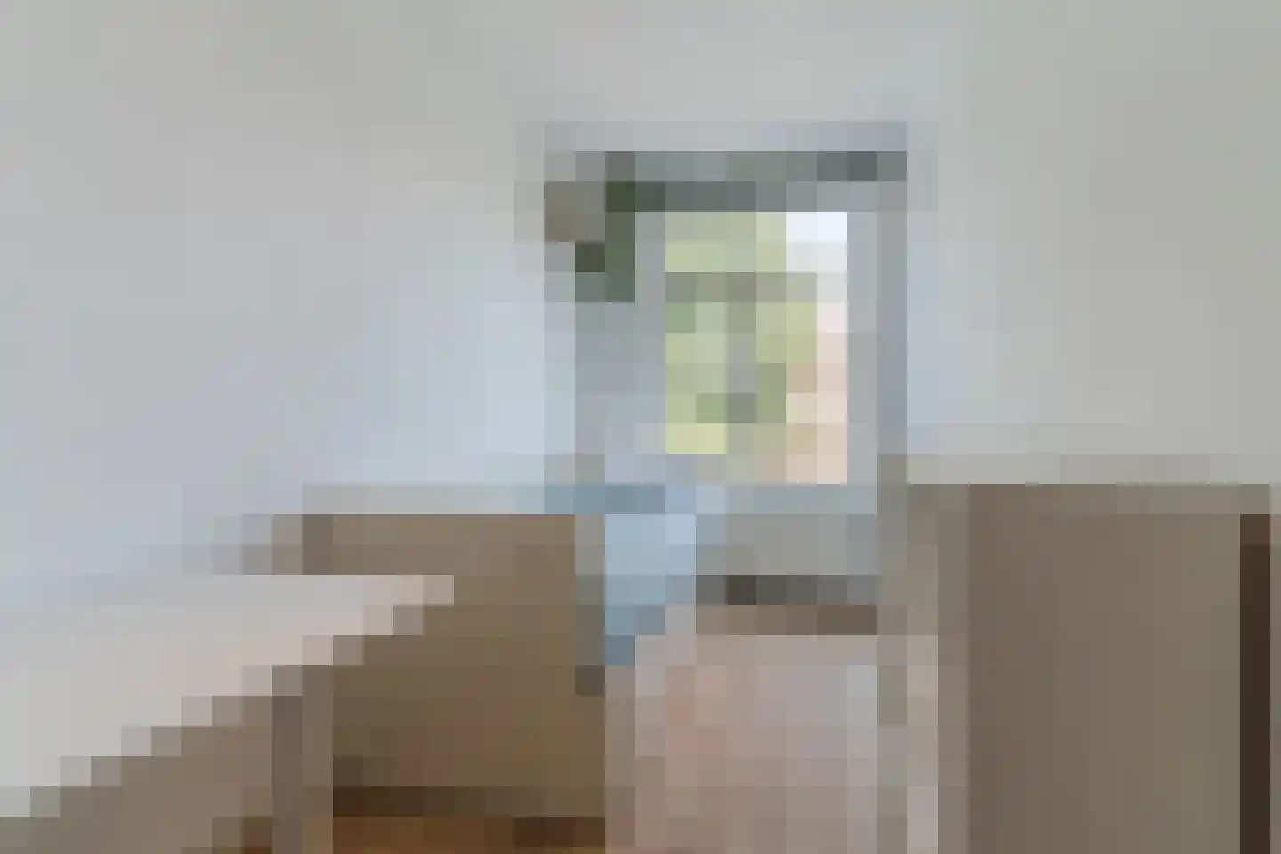 Pieter Brinkmanstraat 6 Tilburg thumbnail 27