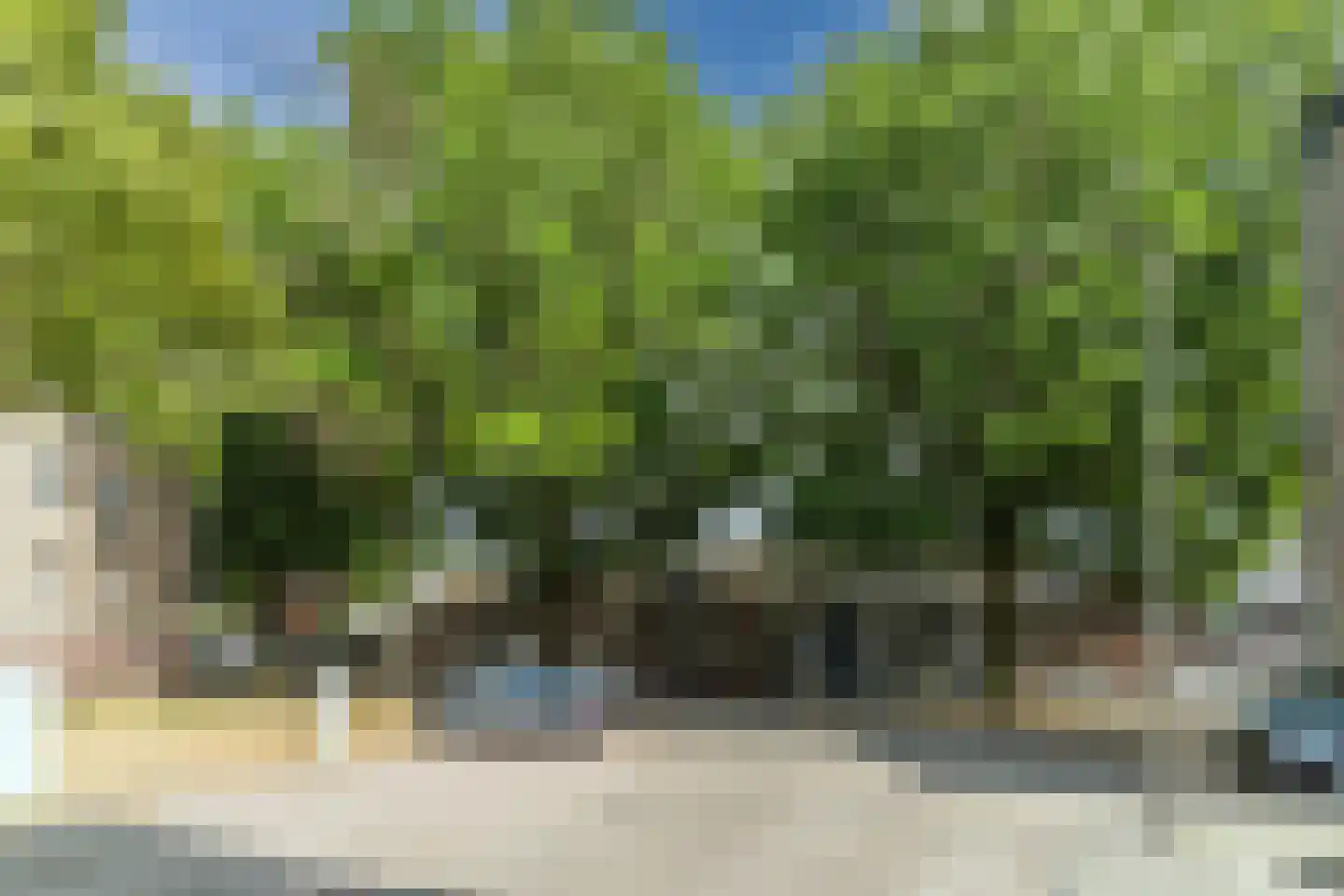 Pieter Brinkmanstraat 6 Tilburg thumbnail 35