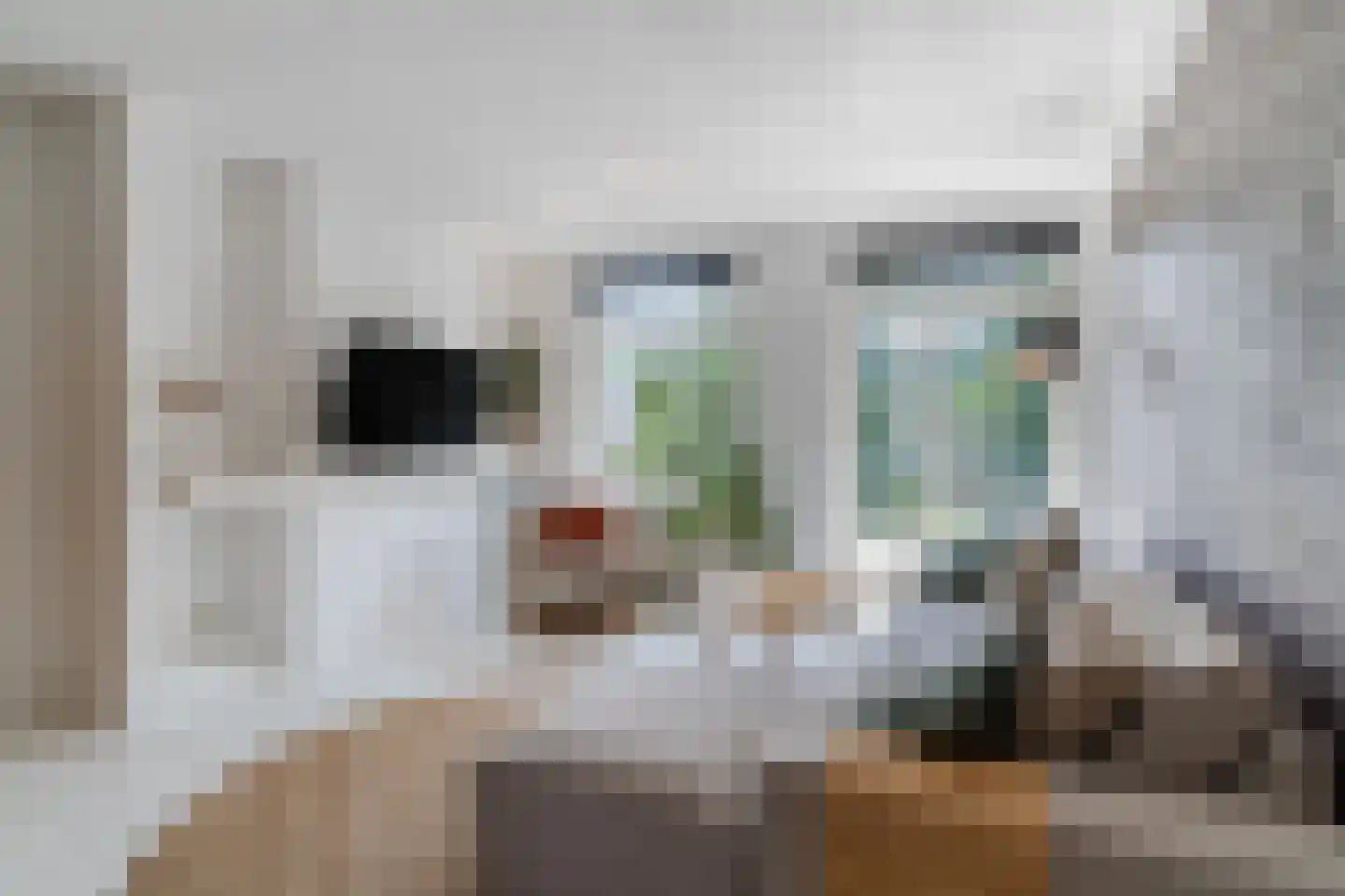 Pieter Brinkmanstraat 6 Tilburg thumbnail 4
