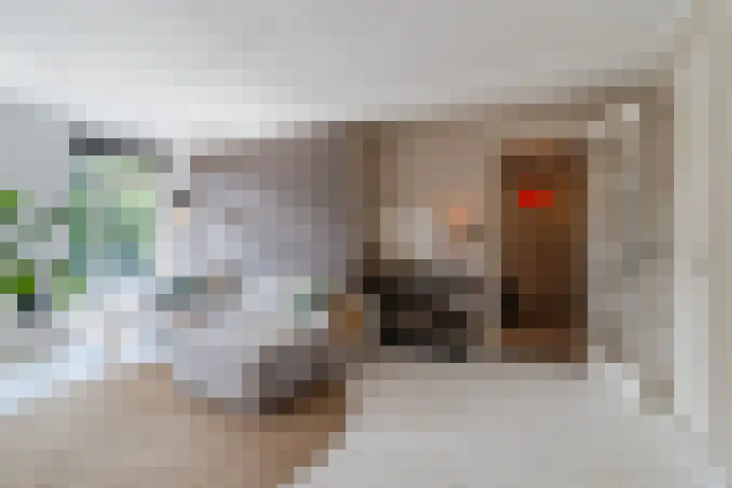 Pieter Brinkmanstraat 6 Tilburg thumbnail 5