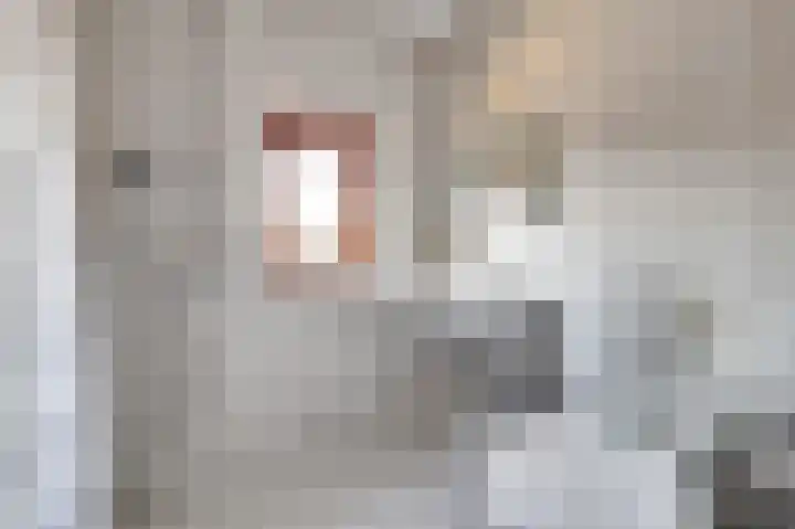 Pieter Bruegellaan 23 Vught thumbnail 18