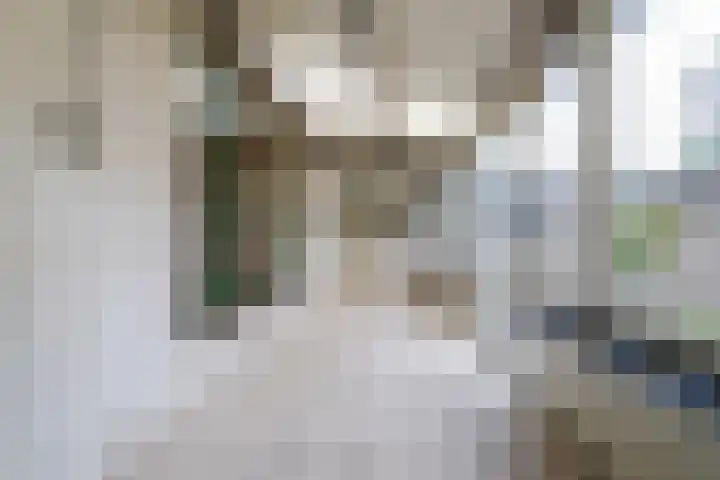 Pieter Bruegellaan 39 Berkel-Enschot thumbnail 19