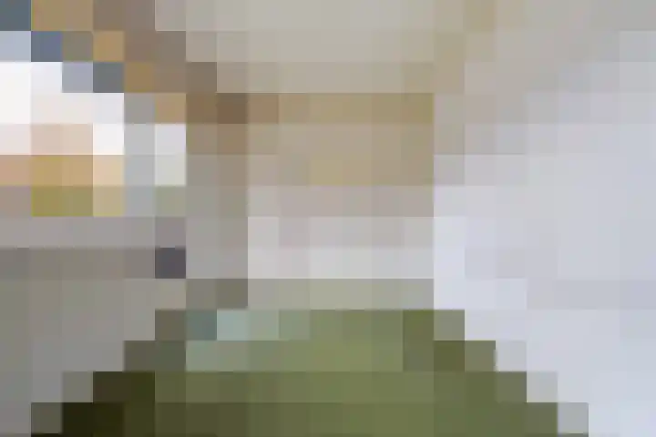 Pieter Bruegellaan 39 Berkel-Enschot thumbnail 32