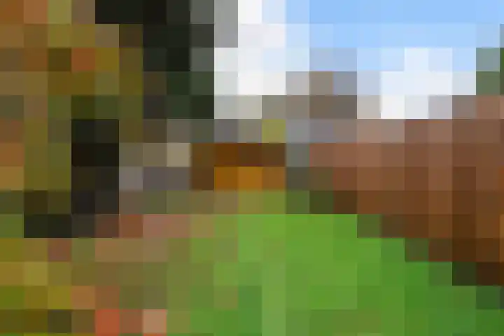 Pieter Bruegellaan 39 Berkel-Enschot thumbnail 6
