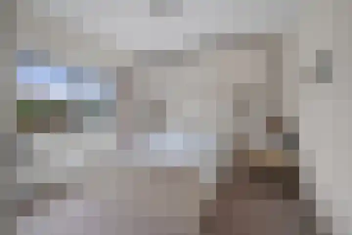 Pieter Bruegellaan 6 Vught thumbnail 18