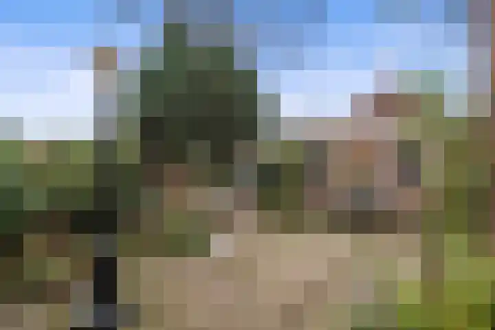 Pieter Bruegellaan 6 Vught thumbnail 33