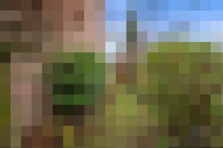 Pieter Bruegellaan 6 Vught thumbnail 36