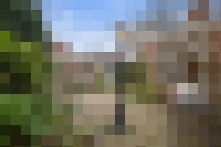Pieter Bruegellaan 6 Vught thumbnail 37