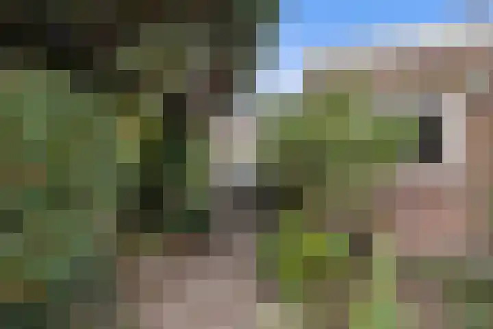 Pieter Bruegellaan 6 Vught thumbnail 39