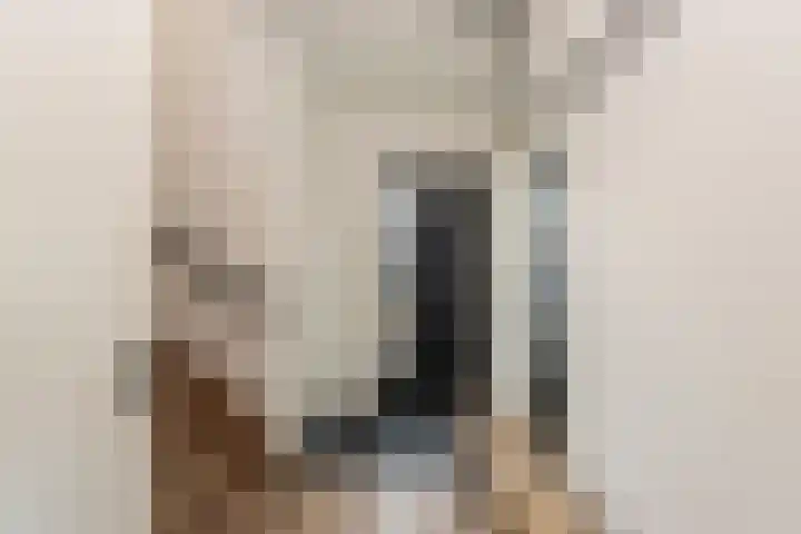 Pieter Bruegellaan 8 Berkel-Enschot thumbnail 11